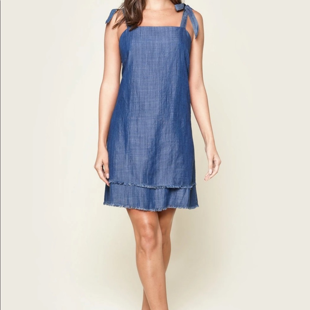 Texas Chambray Tie Dress